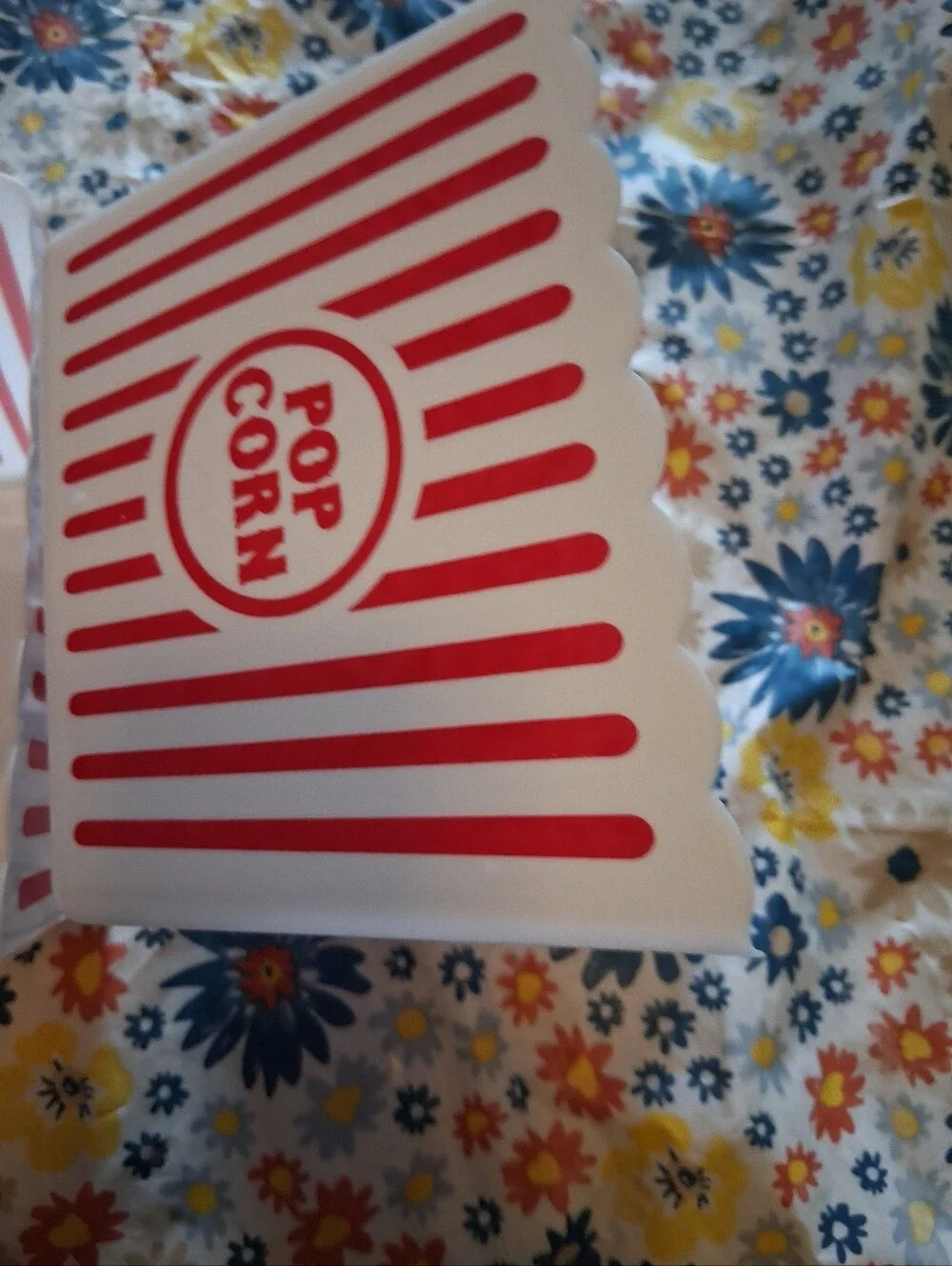 Classic Red & White Large Hard Plastic Popcorn Containers - 2-Pack